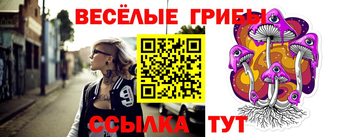 Галлюциногенные грибы Psilocybine cubensis Маркс