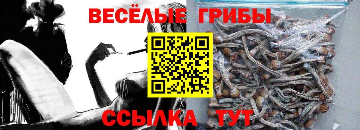 купить наркотики цена  Галлюциногенные грибы Magic Shrooms  Вход с VPN  Галлюциногенные грибы Psilocybine cubensis  Маркс 